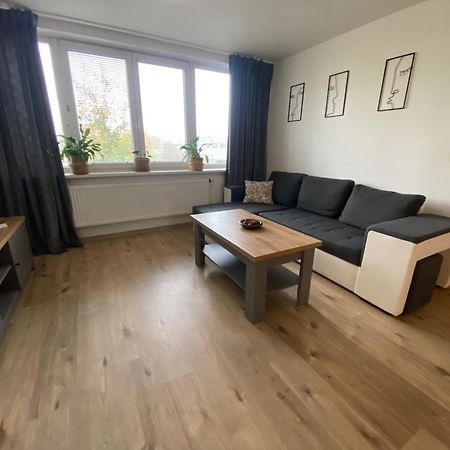 Apartmány Černý Tulipán #5 Plzeň Exterior foto