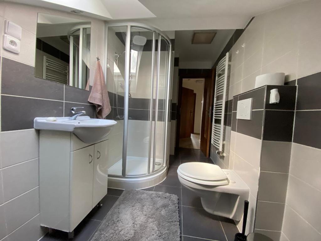 Apartmány Černý Tulipán #5 Plzeň Exterior foto